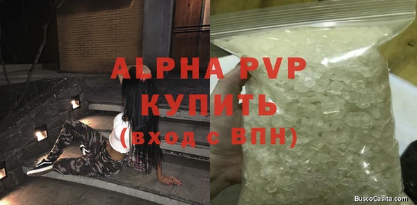 стаф Киренск