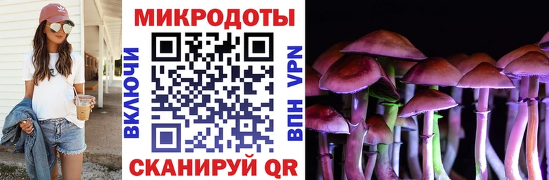 Купить где  Бузулук  Псилоцибиновые грибы Cubensis 